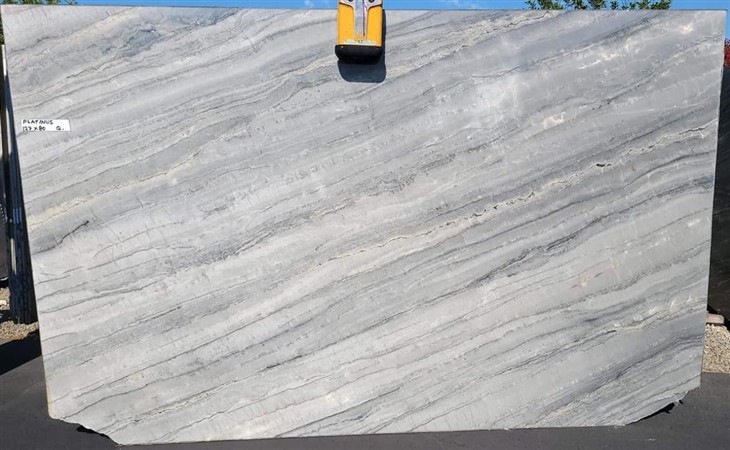 Platinus Quartzite Countertop