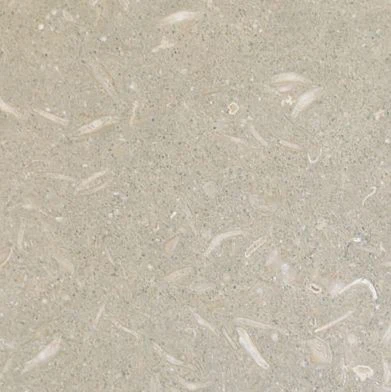 seagrass marine carpet